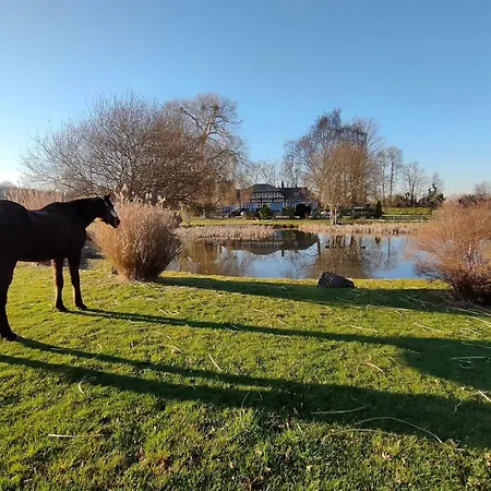 Alojamento de Acomodação e Pequeno-almoço Eden Koi Conteville (Eure)
